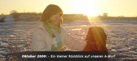 Hovawart Zucht "vom Windberg"